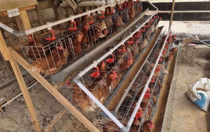 Masyarakat Bojonegoro Mulai Rasakan Program Gayatri, Tapi KPM Tetap Butuh Pendampingan