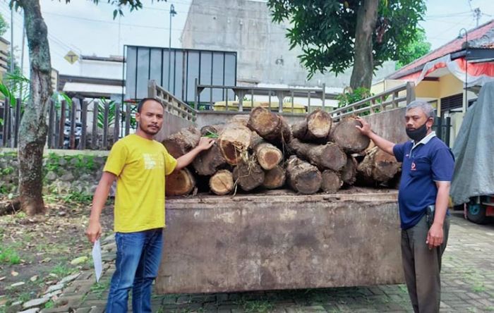 Terlibat Illegal Logging, Mantan Kades Renteng Kabupaten Probolinggo Ditahan Polisi Terlibat Illegal Logging, Mantan Kades Renteng Kabupaten Probolinggo Ditahan Polisi