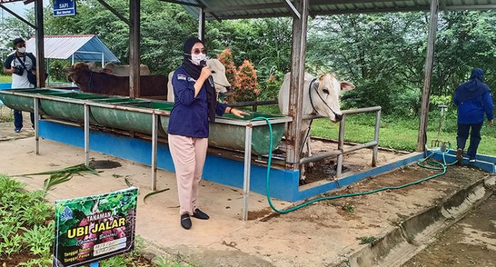 Kawasan Edupark Semen Gresik di Rembang Jadi Percontohan