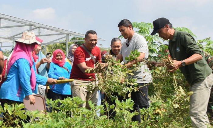 Resmikan Kampung Tani Jamsaren, Wali Kota Kediri: Cocok untuk Wisata Edukasi Urban Farming