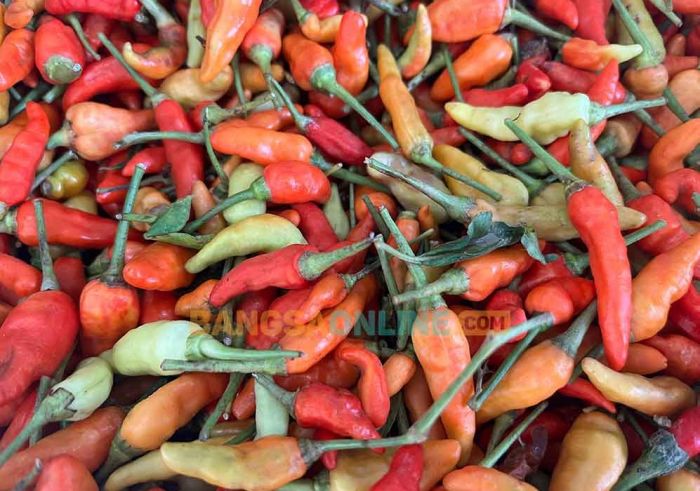 Beberapa Komoditas Pangan di Jateng Hari Ini Turun, Khusus Cabai Rawit Tetap Meroket