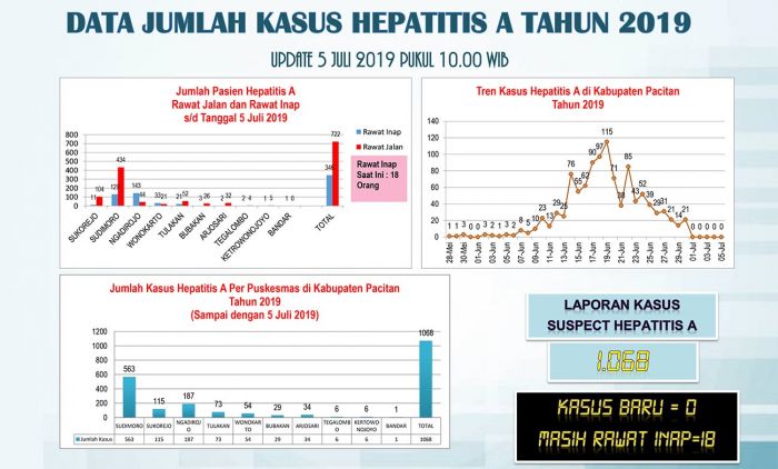Penderita Hepatitis A di Pacitan Naik Menjadi 1068 Pasien