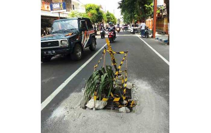 Membahayakan, Jalan Letkol Sumardjo Kota Mojokerto Ditanami Pisang  