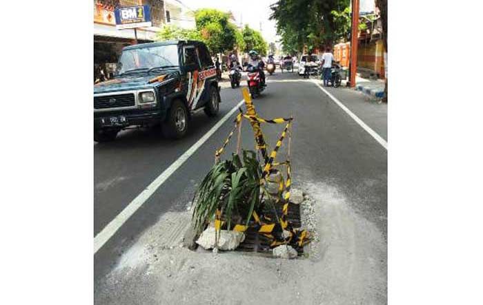 Membahayakan, Jalan Letkol Sumardjo Kota Mojokerto Ditanami Pisang Membahayakan, Jalan Letkol Sumardjo Kota Mojokerto Ditanami Pisang