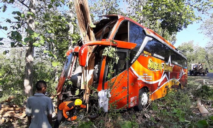 Sopir Diduga Mengantuk, Bus Sugeng Rahayu Masuk Parit di Ngawi Sopir Diduga Mengantuk, Bus Sugeng Rahayu Masuk Parit di Ngawi