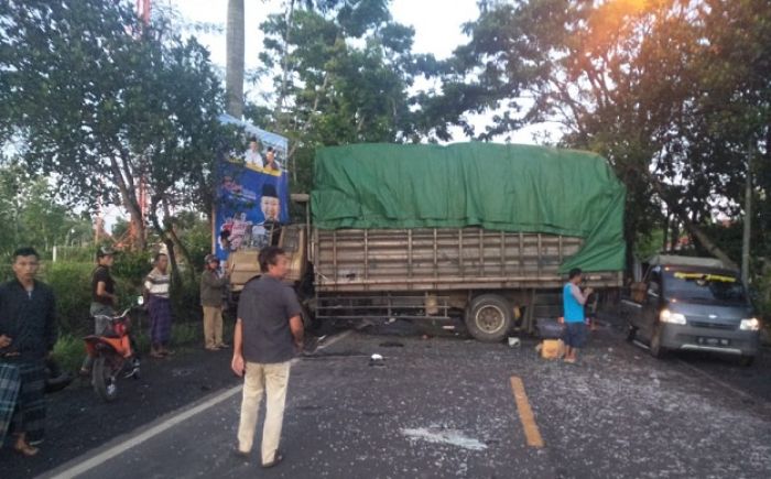 Adu Banteng Fuso vs Truk Boks di Jember, Kedua Sopir Tewas di TKP