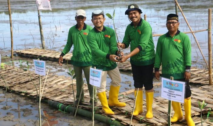 Wabup Qosim dan PT Matahari Tanam 10 Ribu Mangrove di Mengare