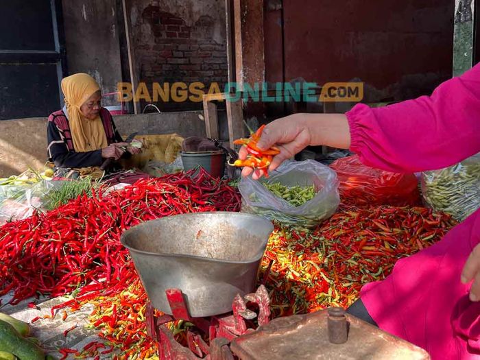Harga Cabai Rawit di Bali Hari Ini Melambung Tinggi, Cabai Besar dan Keriting Merosot Drastis
