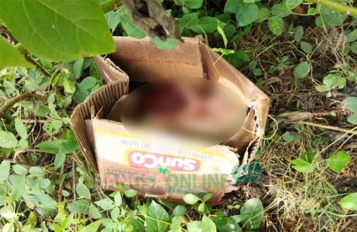 Bayi Dibuang Dalam Kardus Ditemukan Warga di Trenggalek Bayi Dibuang Dalam Kardus Ditemukan Warga di Trenggalek