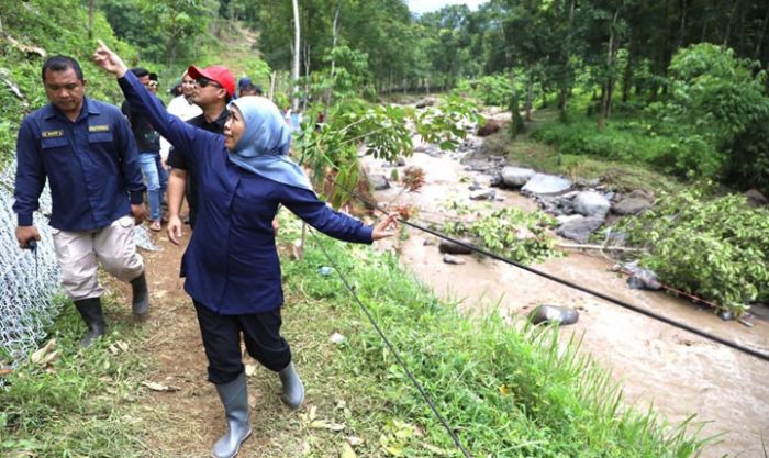 Usai Karhutla, Reboisasi Gunung Argopuro Dilakukan Dengan Tabur Biji Lewat Udara Usai Karhutla, Reboisasi Gunung Argopuro Dilakukan Dengan Tabur Biji Lewat Udara