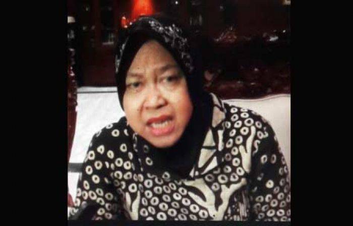 Ahok Makin Kontra PDIP, Risma Tak Kuat Bendung Dorongan Warga DKI Ahok Makin Kontra PDIP, Risma Tak Kuat Bendung Dorongan Warga DKI