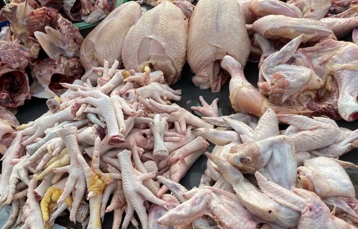 Harga Sembako Jatim Hari ini 14 Januari 2025, Daging Ayam Kampung Naik Lagi Harga Sembako Jatim Hari ini 14 Januari 2025, Daging Ayam Kampung Naik Lagi
