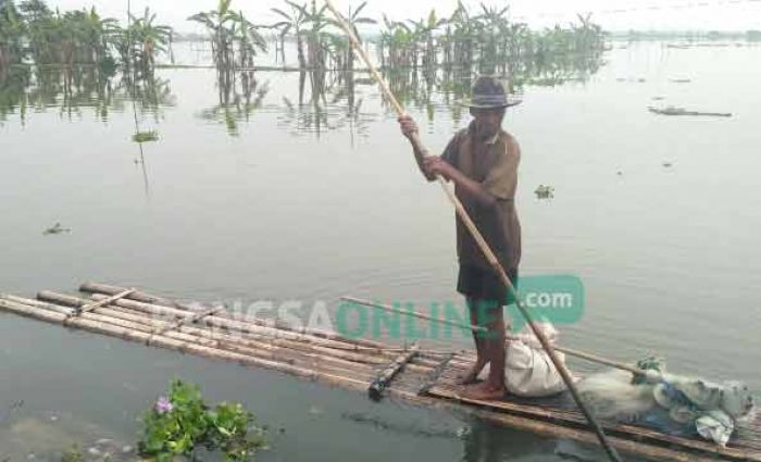 Sawah Terendam, Petani Bojonegoro Alih Profesi Jadi Pencari Ikan