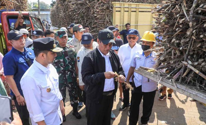 Dampingi Mentan di Lumajang, Plt Gubernur Jatim Dukung Terwujudnya Swasembada Gula Dampingi Mentan di Lumajang, Plt Gubernur Jatim Dukung Terwujudnya Swasembada Gula