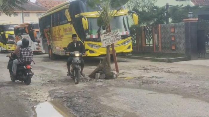 Protes Jalan Berlubang, Akses Menuju Pesarean Syaikhona Kholil Ditanami Pohon Pisang Protes Jalan Berlubang, Akses Menuju Pesarean Syaikhona Kholil Ditanami Pohon Pisang