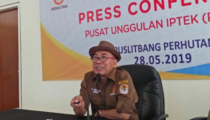 Dapat PUI, Puslitbang Perhutani Terus Kembangkan Kayu Jati Plus