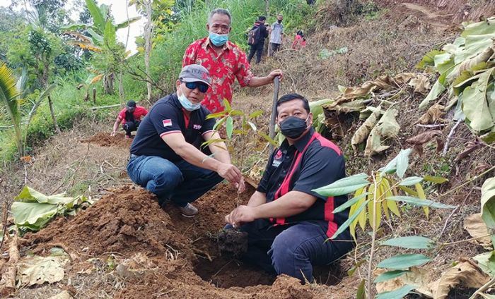 HUT ke-48, PDIP Kabupaten Kediri Kembali Tanam 2.000 Pohon di Lereng Wilis HUT ke-48, PDIP Kabupaten Kediri Kembali Tanam 2.000 Pohon di Lereng Wilis
