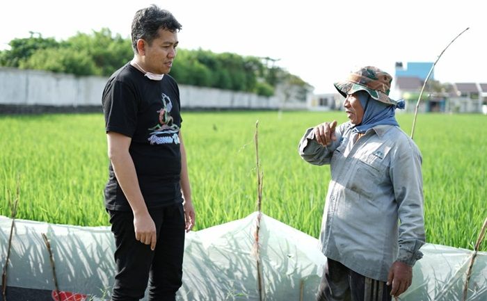 Jaga Swasembada Pangan, Mas Iin Minta Sawah Produktif Diberi Keringanan Pajak