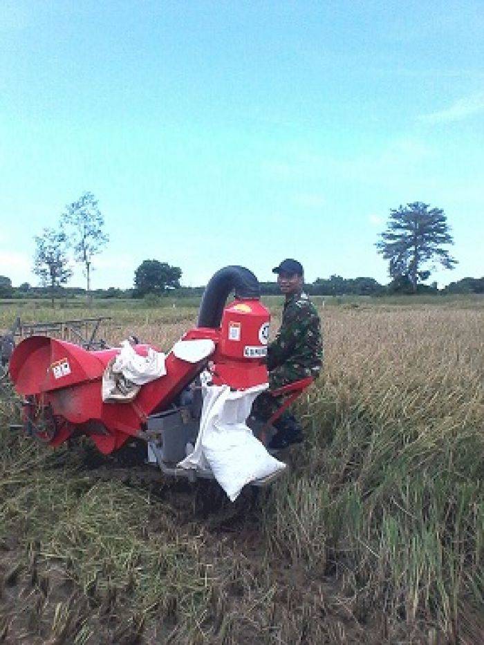 Babinsa Kwanyar dan Petani Panen Padi dengan Alat Modern