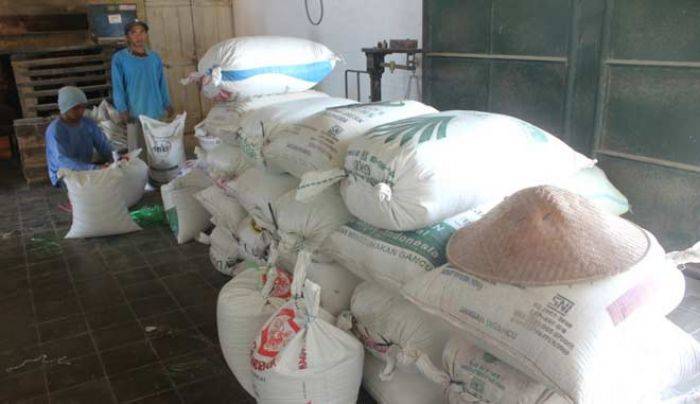 Harga Jual ke Bulog Dinilai Rendah, Petani di Senori Pilih Jual Gabah ke Jawa Tengah Harga Jual ke Bulog Dinilai Rendah, Petani di Senori Pilih Jual Gabah ke Jawa Tengah