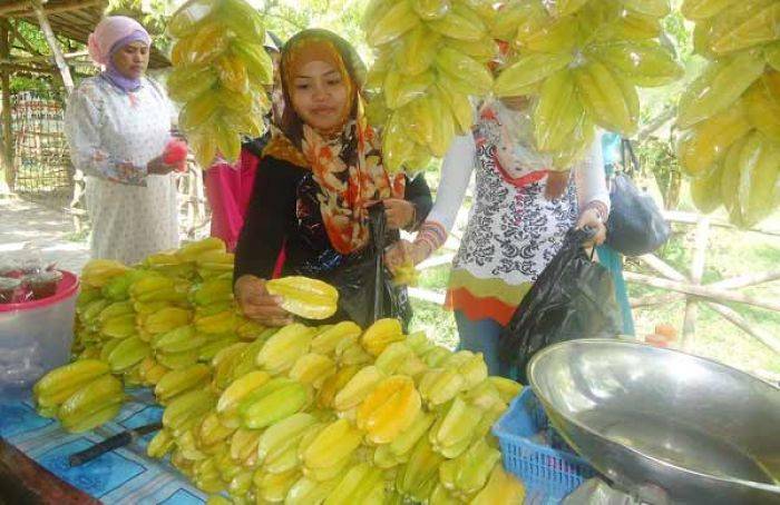 Agrowisata Belimbing Ngringinrejo Bojonegoro, Makin Ramai Saat Ramadan Agrowisata Belimbing Ngringinrejo Bojonegoro, Makin Ramai Saat Ramadan