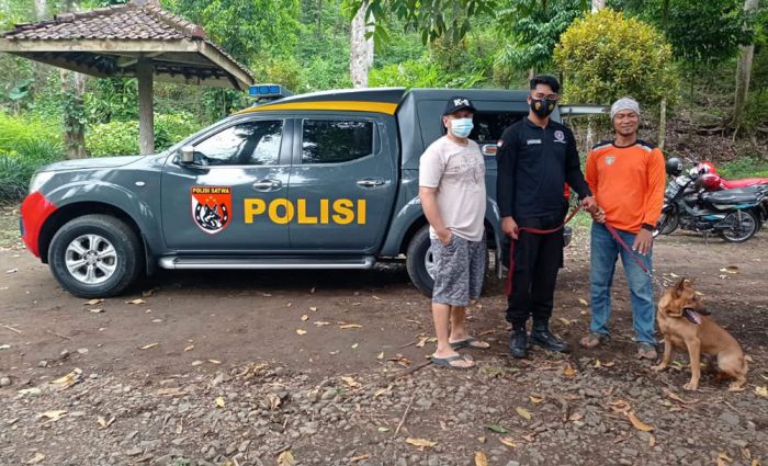Dapat Bantuan Anjing Pelacak, Wana Rescue Kediri Siap Bantu Hutan Kawasan Mana pun Dapat Bantuan Anjing Pelacak, Wana Rescue Kediri Siap Bantu Hutan Kawasan Mana pun