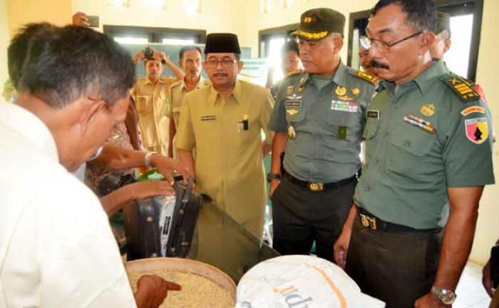 Serapan Gabah Sumenep Ditarget 4.313 Ton, Kodim Sumenep Maksimalkan Tim Sergap