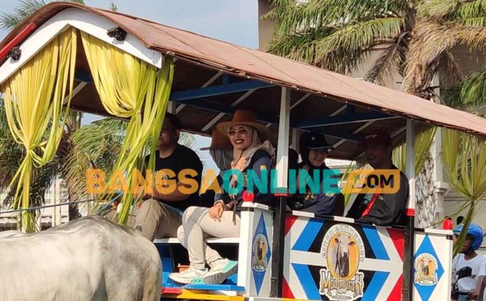 Semarak Parade Cikar di Kabupaten Kediri Semarak Parade Cikar di Kabupaten Kediri