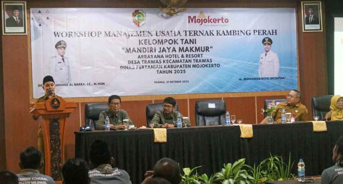 Bupati Mojokerto Dorong Peternak Milenial Lewat Workshop Manajemen Usaha Kambing Perah Bupati Mojokerto Dorong Peternak Milenial Lewat Workshop Manajemen Usaha Kambing Perah