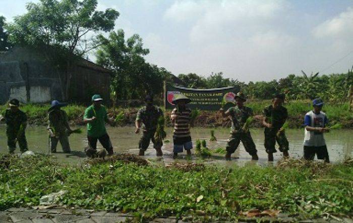 Petani Padi di Benowo Tanam Padi Serentak