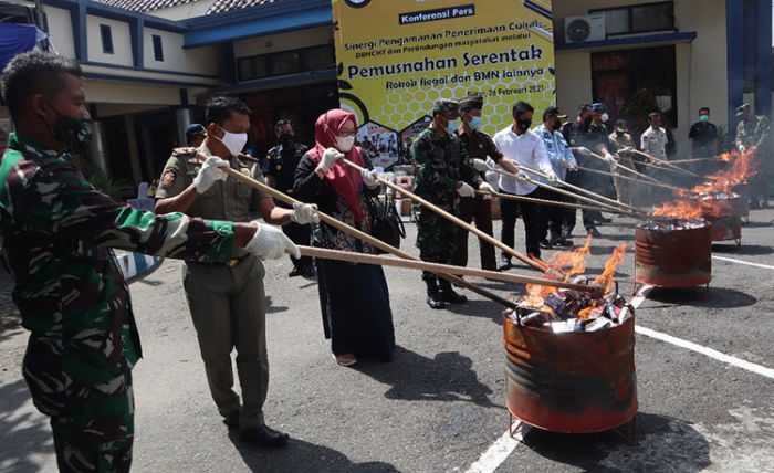 Bea Cukai Blitar Musnahkan 100 Ribu Batang Lebih Rokok Ilegal Bea Cukai Blitar Musnahkan 100 Ribu Batang Lebih Rokok Ilegal