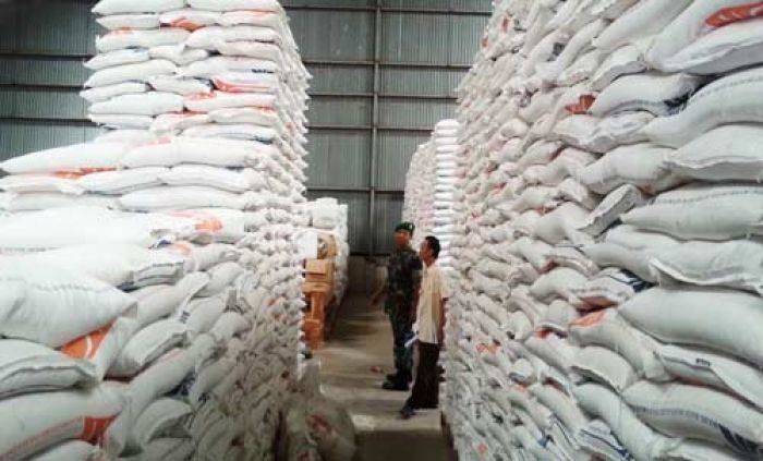 TNI Sidak Gudang Bulog Sumenep, Partisipasi Kades Rendah, Bulog Diamkan Beras di Gudang TNI Sidak Gudang Bulog Sumenep, Partisipasi Kades Rendah, Bulog Diamkan Beras di Gudang
