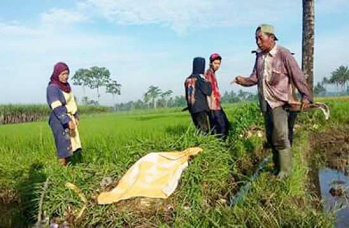 Bocah 2 Tahun yang tenggelam di Saluran Irigasi Ditemukan Meninggal Dunia Bocah 2 Tahun yang tenggelam di Saluran Irigasi Ditemukan Meninggal Dunia