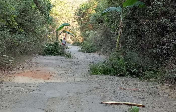 Tak Ada Perhatian dari 3 Pemda, Jalan Raya Tapal Batas di Banyuurip Ditanami Pohon