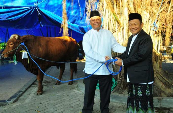 Petrokimia Gresik Serahkan 21 Ekor Sapi Kurban untuk Berbagi Petrokimia Gresik Serahkan 21 Ekor Sapi Kurban untuk Berbagi