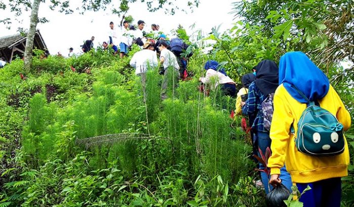Wisata Gunung Kelud Kian Memesona Wisata Gunung Kelud Kian Memesona