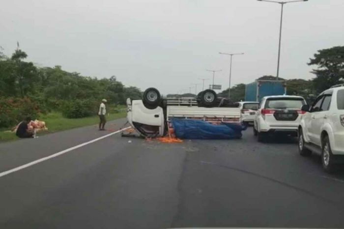 Pecah Ban, Pikap Bermuatan Wortel Terguling di Tol Waru-Sidoarjo Pecah Ban, Pikap Bermuatan Wortel Terguling di Tol Waru-Sidoarjo