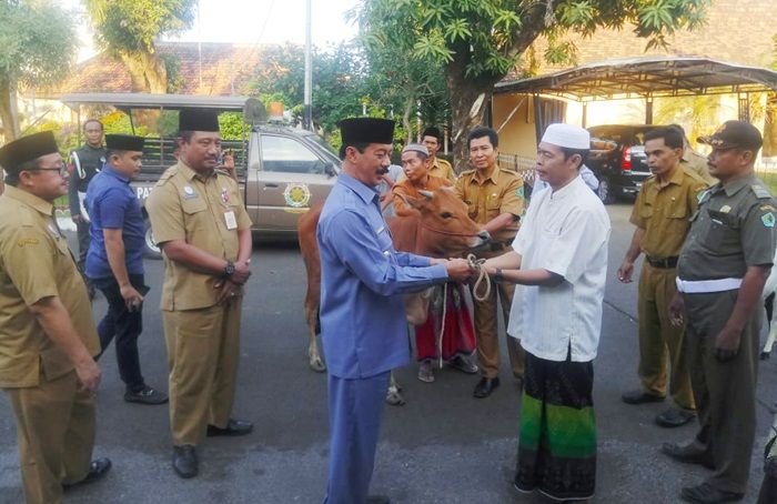 Sambut Idul Adha, Pemkab Pamekasan Bagikan 40 Hewan Kurban Sambut Idul Adha, Pemkab Pamekasan Bagikan 40 Hewan Kurban