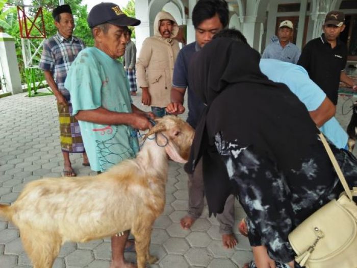 Tangkal Wabah Corona, Takmir Masjid di Sumenep Doa Bersama Tiup Kepala Kambing