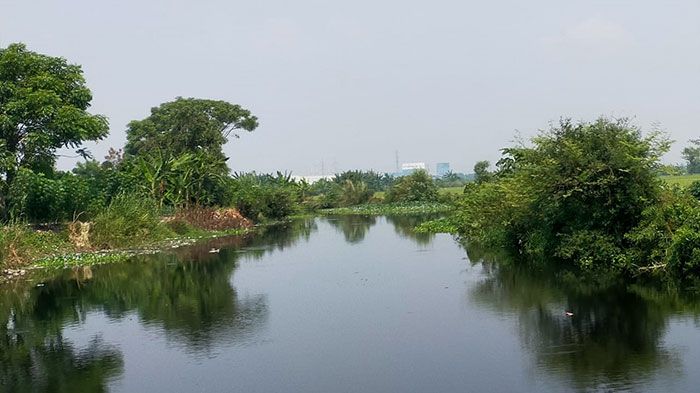 Sungai Wrati Tercemar, Anggota DPRD Kabupaten Pasuruan Minta DLH Segera Bertindak Sungai Wrati Tercemar, Anggota DPRD Kabupaten Pasuruan Minta DLH Segera Bertindak