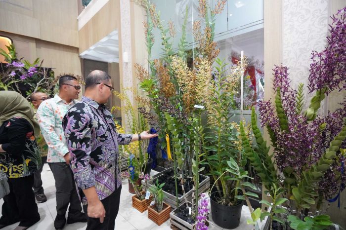 Batu Shining Orchid Week 2024, Bikin Kota Batu Jadi Perhatian Pecinta Anggrek Tanah Air Batu Shining Orchid Week 2024, Bikin Kota Batu Jadi Perhatian Pecinta Anggrek Tanah Air