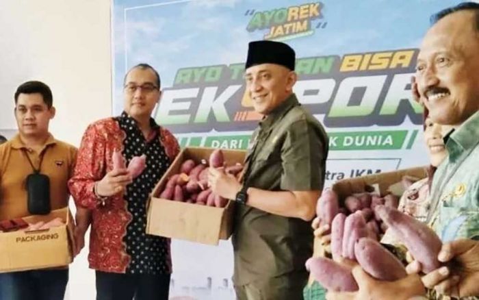 Penuhi Permintaan Ekspor dari Malaysia, Pemkab Bangkalan Genjot Produksi Ubi Jalar Penuhi Permintaan Ekspor dari Malaysia, Pemkab Bangkalan Genjot Produksi Ubi Jalar