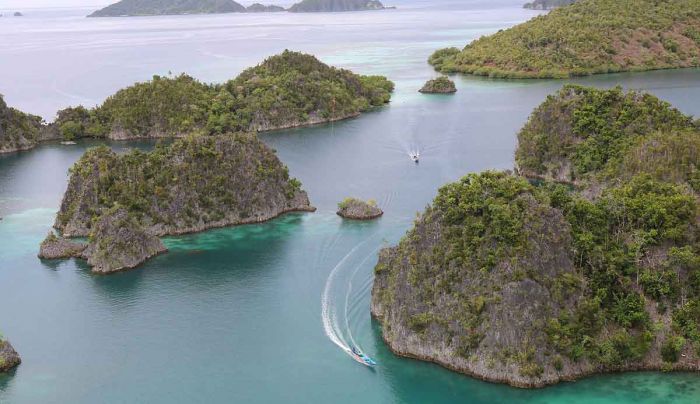 Simak Daftar Spot Diving Terindah di Raja Ampat Simak Daftar Spot Diving Terindah di Raja Ampat
