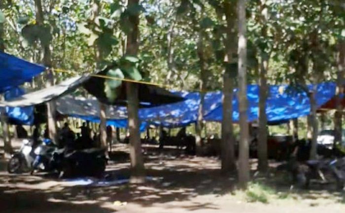 Bak Kasino di Tengah Hutan, Area Perjudian di Bangorejo Banyuwangi Lolos Pantauan