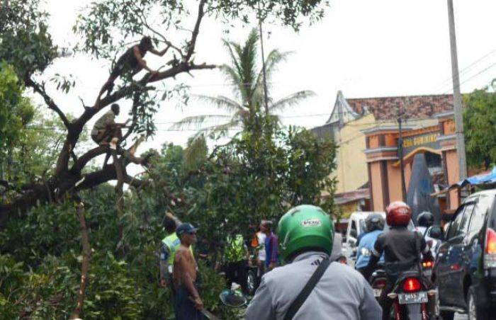 Hujan Deras Disertai Angin di Lamongan: Puluhan Pohon Tumbang, Dua Warkop Roboh Hujan Deras Disertai Angin di Lamongan: Puluhan Pohon Tumbang, Dua Warkop Roboh