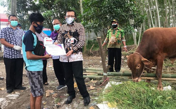 Jelang Iduladha, DKPP Jember Cek Kesehatan Hewan Kurban