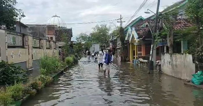 Banjir Pasuruan 3 Hari Tak Surut, Warga Kedungringin Lumpuh Aktivitas