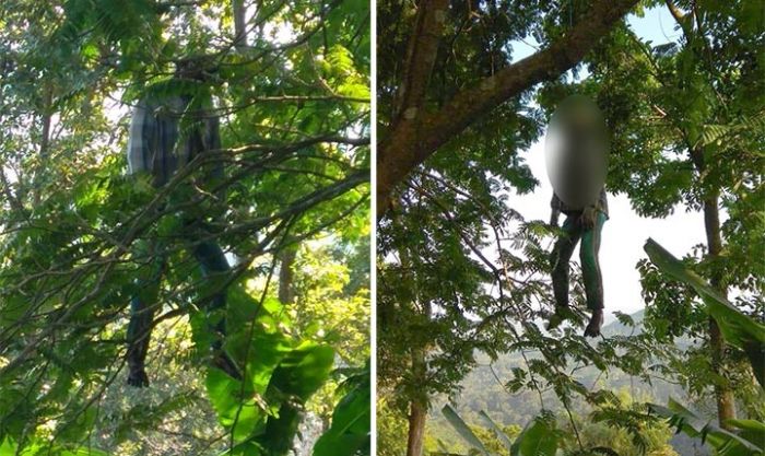 Seminggu Hilang, Warga Jember Ini Ditemukan Gantung Diri di Hutan Seminggu Hilang, Warga Jember Ini Ditemukan Gantung Diri di Hutan
