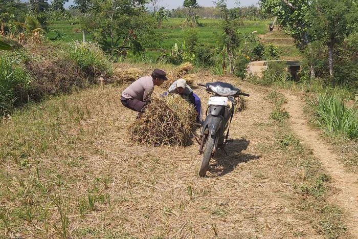 Gelar Patroli Dialogis, Polsek Ngrambe Dekatkan Diri dengan Para Petani Gelar Patroli Dialogis, Polsek Ngrambe Dekatkan Diri dengan Para Petani