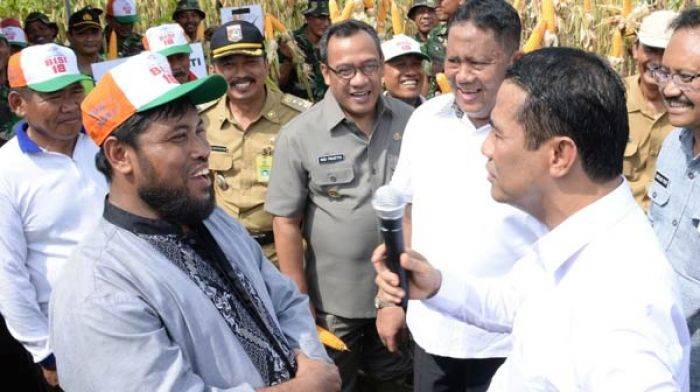 Harga Sempat Tembus Rp 7000, Blitar bakal Digelontor Jagung 100 Ton Harga Sempat Tembus Rp 7000, Blitar bakal Digelontor Jagung 100 Ton
